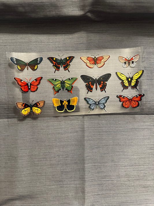 Butterflies Options